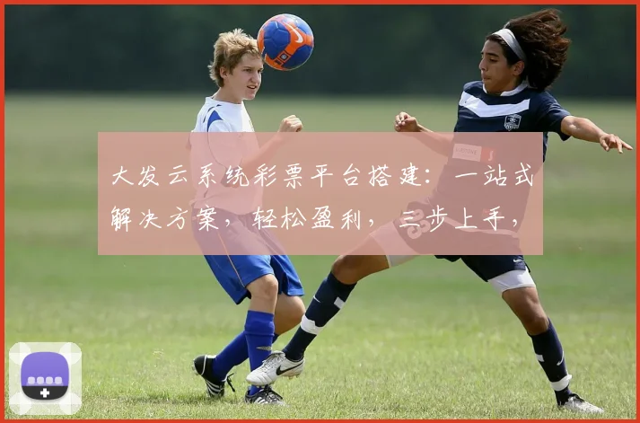 大发云系统彩票平台搭建：一站式解决方案，轻松盈利，三步上手，安全可靠，智能运维。